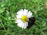 Copy of 1 (17)v.webp