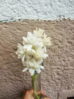 CIMG9805.webp