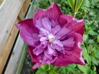 CIMG9840.webp