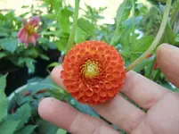 CIMG9842.webp