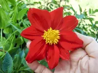 CIMG9841.webp