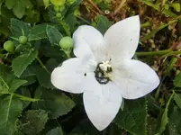 CIMG9837.webp