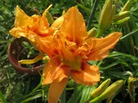 kwanzo3_1024x768.webp