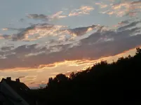 P1080462.webp