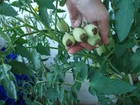 DSCF0643.webp