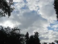 126.webp