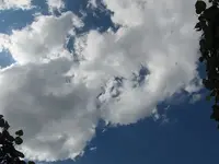 073.webp
