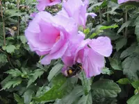 023.webp