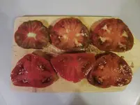 CIMG9914.webp