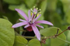 _DSC3088.webp