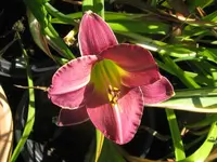 dkl.von christa3_1024x768.webp
