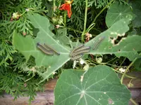 100_1148.webp