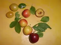 Bild44.webp