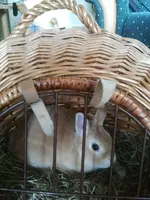2013-08-16 16.09.35.webp