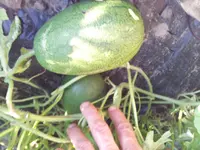 20130816_191225.webp
