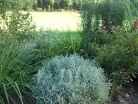 SAM_2043.webp