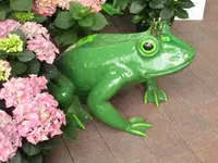 Bild 1568.webp