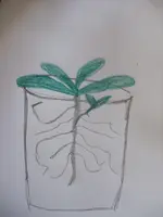 DSCF6838.webp