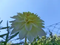 P1080517.webp