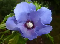 P1080436.webp