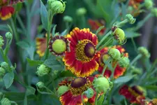 IMG_5443.webp