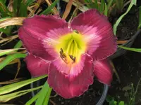243_1024x768.webp