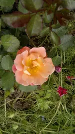 2013-08-17-3044.webp