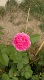 2013-08-17-3045.webp