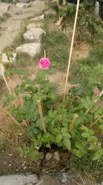 2013-08-17-3047.webp