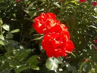 2013-08-14-2991.webp