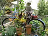 Copy of IMG_3814v.webp