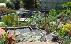 Copy of IMG_3857v.webp