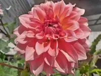 P1080510.webp