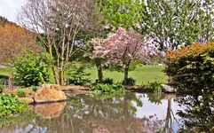 Copy of IMG_3723 2v.webp