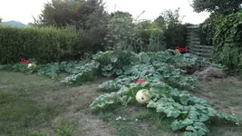 17. August 2013 (3).webp