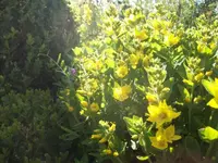 101_1387.webp