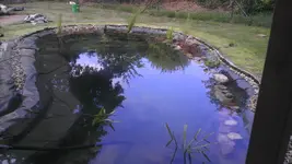 IMAG0224.webp