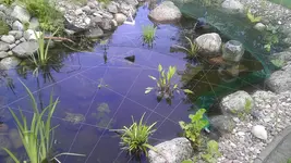 IMAG0175.webp