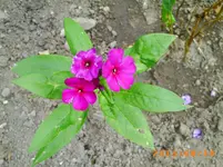 august16 012.webp