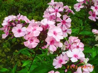 august16 006.webp