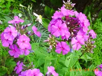 august16 004.webp