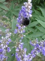 010.webp