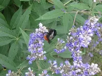 024.webp