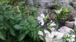 20130818_201259.webp
