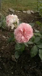 2013-08-18-3082.webp