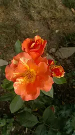 2013-08-18-3088.webp