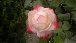 2013-08-18-3094.webp