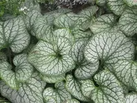 108.webp