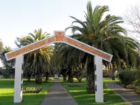 Copy of IMG_0284v.webp
