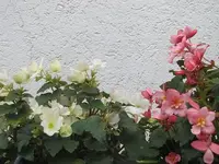 022.webp